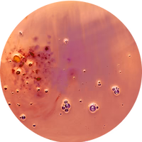 Retinol (Vitamin A)